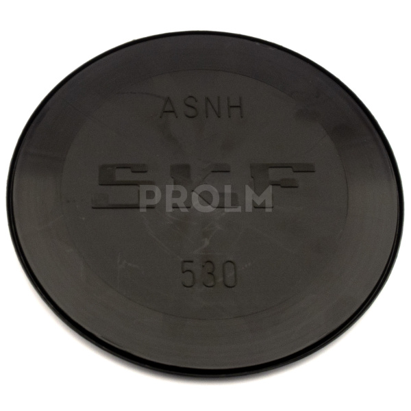 SKF_ASNH 530.img.01