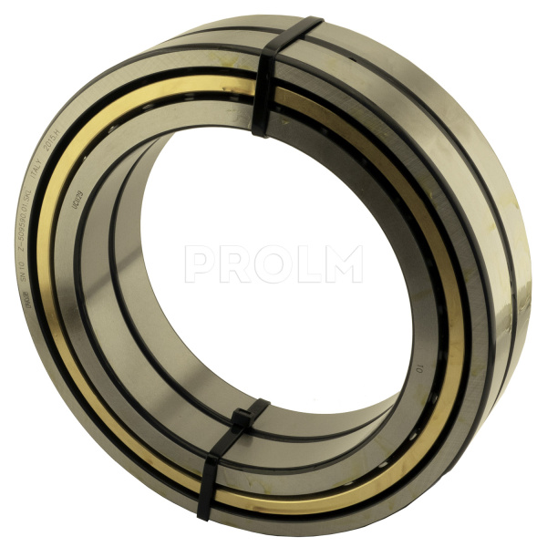 FAG_Z-509590.01.SKL.img.01