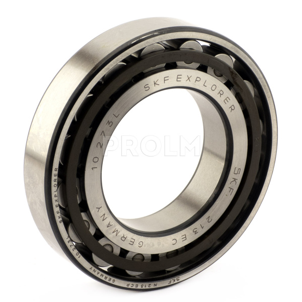 SKF_N-213-ECP.img.01